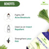 Lemongrass Essential Oil for Diffuser, Room Freshener, Hair Growth, Skin, Face