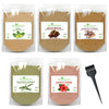 Amla, Reetha, Shikakai, Bhringraj and Hibiscus Combo Powder for Hair Growth (Pack of 5)