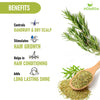 Homeda Rosemary Leaves For Hair Growth with Spray Bottle