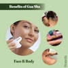 Stainless Steel Gua Sha Stone (Face Massage Tool) Metal Gua Sha Stone for Men & Women - Facial Shaper