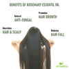 Rosemary Essential Oil for Hair Growth - Pure Rosemerry Oil For Hair, Skin, Face, Body