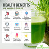 Wheat Grass Powder [Immunity Boost, Natural superfood, No added sugar]