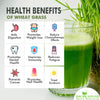 Wheat Grass Powder [Immunity Boost, Natural superfood, No added sugar]