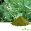 Kalmegh Powder / Nilavembu powder - Natural Liver Tonic and Immunity Increaser - Shudh Online