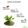 Kalmegh Powder / Nilavembu powder - Natural Liver Tonic and Immunity Increaser - Shudh Online