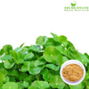 Gotukola powder - Vallarai, Centella asiatica, Mandupakarni powder - [Herb for brain & nervous system] - Shudh Online