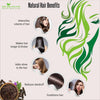 Organic Shikakai Powder for Hair (Natural Hair Pack Conditioner) - Shikai Sikakai Sikhakai Shikhakai