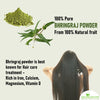 Organic Bhringraj Powder for Hair Growth, Skin and Eating (100% natural, Bringraj, Bhringrajasava, Bringaraja)