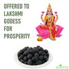 Kamal Gatta Seed, Raw Lotus Seeds (for Pooja, Laxmi Havan, Home Gardening) Rosary of Kamal Gatta, Kamalgatta, Makhana Seed